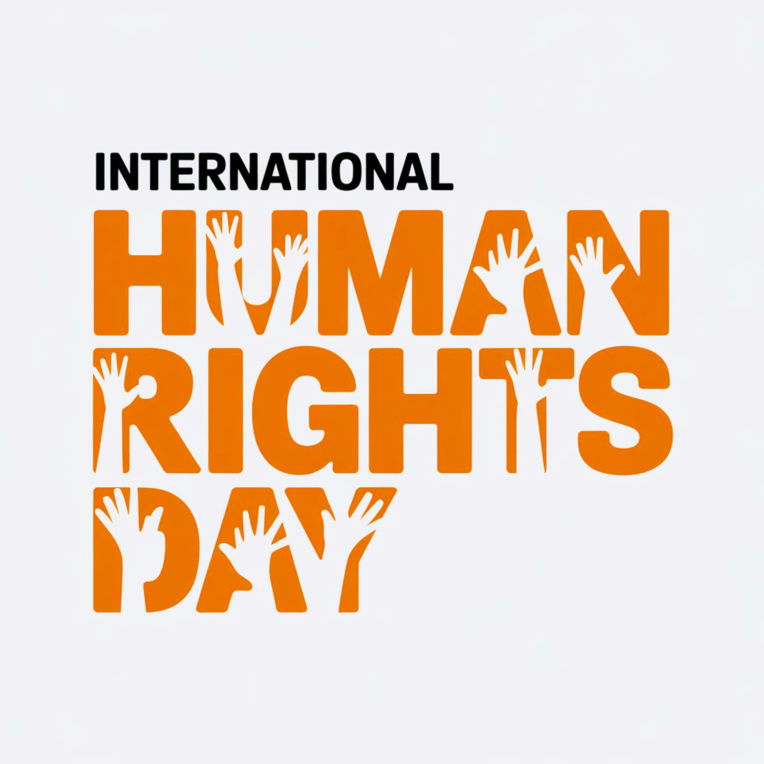 398445417_7f48de66-5a2c-4798-83ac-0c42844843ab